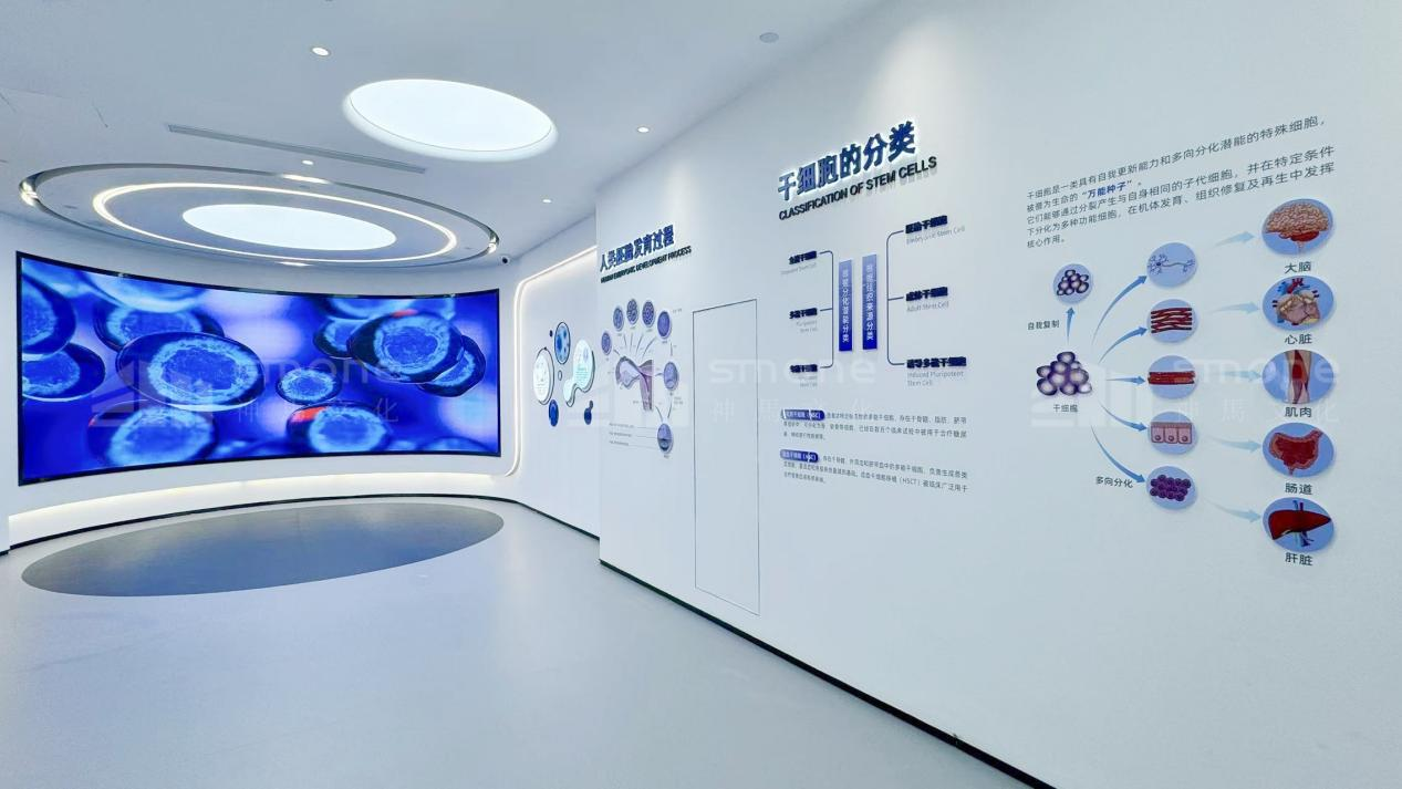 干細(xì)胞展廳設(shè)計(jì)，如何把專業(yè)講得 “好看又好懂”？|干細(xì)胞展廳設(shè)計(jì)|干細(xì)胞科普館設(shè)計(jì)|生物肽展廳設(shè)計(jì)|生物醫(yī)藥展廳設(shè)計(jì)|神馬文化展廳設(shè)計(jì)公司
